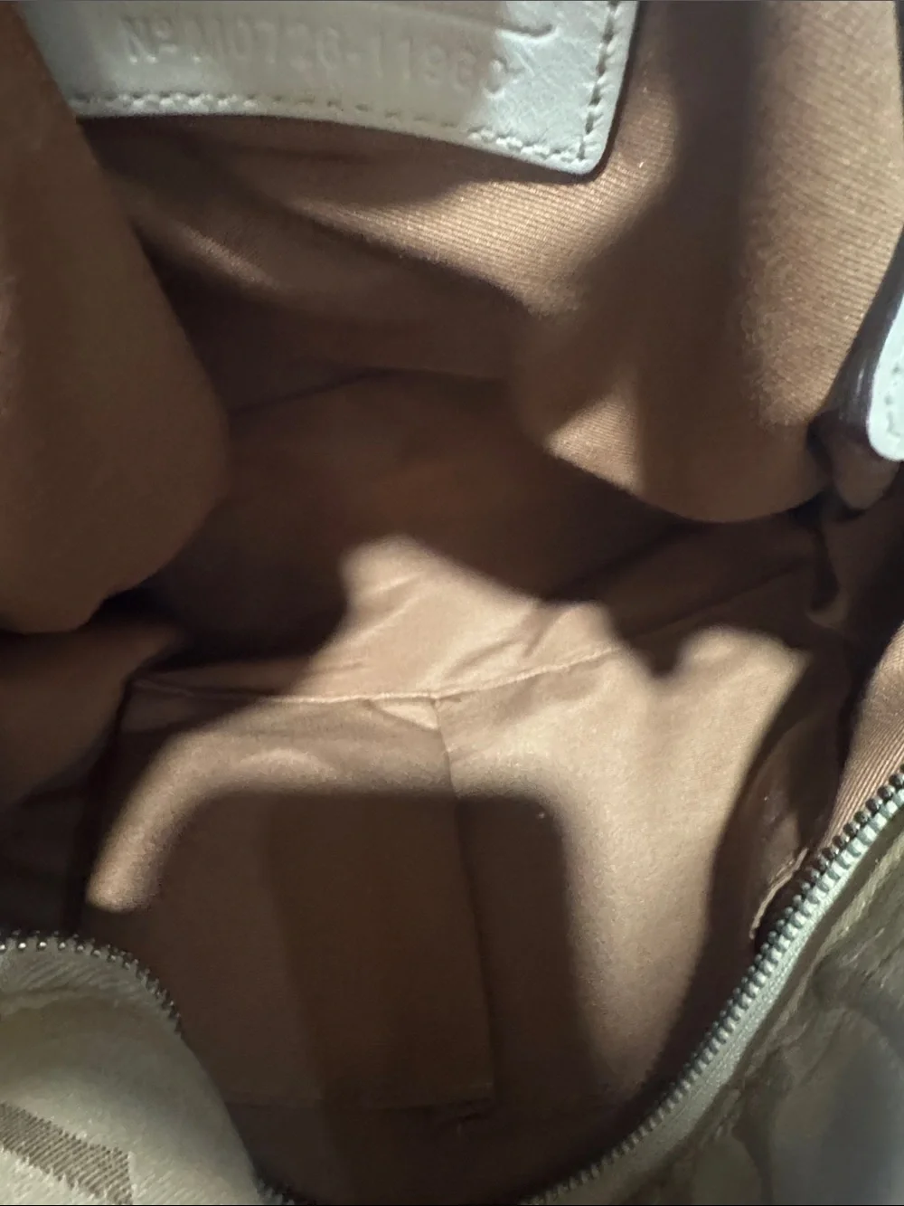 Coach Carly Small Signature Canvas Hobo in Beige and Brown